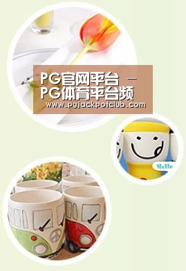 关于PG官网